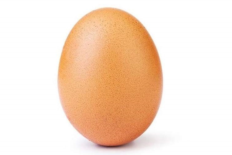 تخم مرغ معروف اینستاگرام